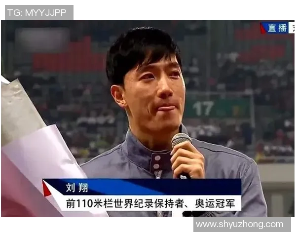 刘翔退役后的新篇章与未来发展之路探析