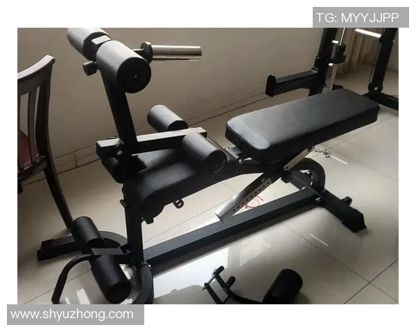 健身房常见健身器材介绍及其功能解析助你选择适合的锻炼工具