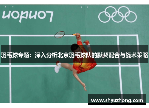 羽毛球专题：深入分析北京羽毛球队的默契配合与战术策略