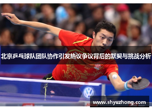 北京乒乓球队团队协作引发热议争议背后的默契与挑战分析
