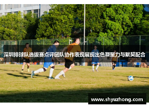 深圳排球队选拔赛点评团队协作表现展现出色凝聚力与默契配合
