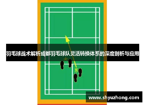 羽毛球战术解析成都羽毛球队灵活转换体系的深度剖析与应用